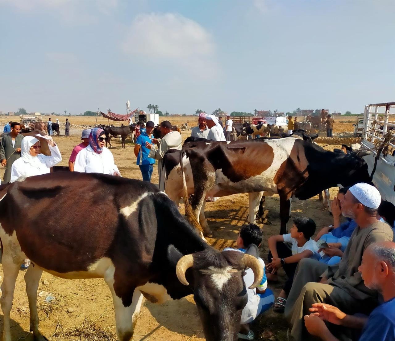 الزراعة تكثف الترصد الوبائي لح...
