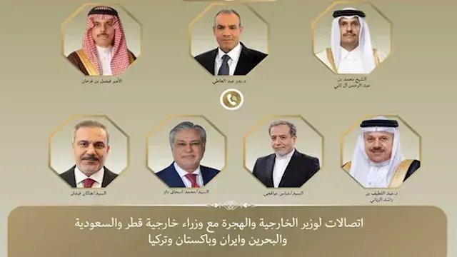 عبد العاطي يبحث مع 6 وزراء خار...