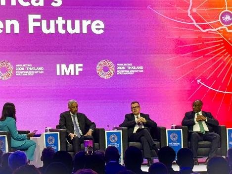 وزير التخطيط: تعميق التصنيع في إفريقيا ضرورة لتحقيق قيمة مضافة أكبر