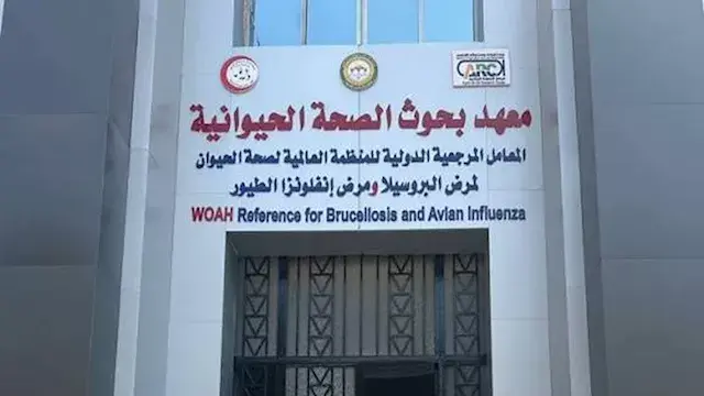 دراسة: القراد يرفع خطر إصابة ا...