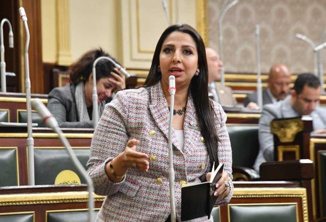 النائبة نشوى الشريف تنتقد غياب...