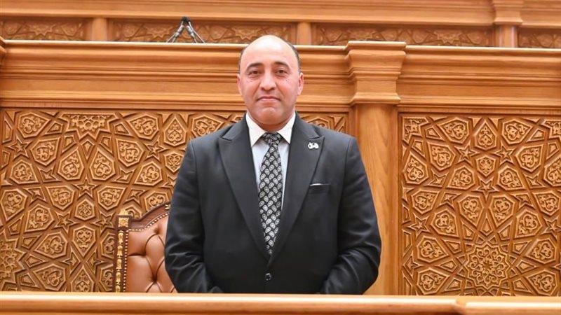 النائب حسام حسن: الطبقة المتوسطة تئن.. ومشكلة الكهرباء تحولت لمشتريات واستدانة يتحملها المواطن