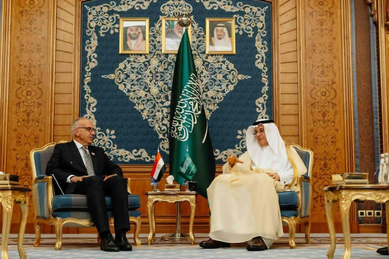 مصر والسعودية تبحثان التعاون ف...