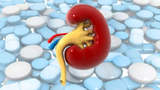 ماذا يحدث للكلى بعد سن الأربعين؟.. أعراض صامتة لا تتجاهلها