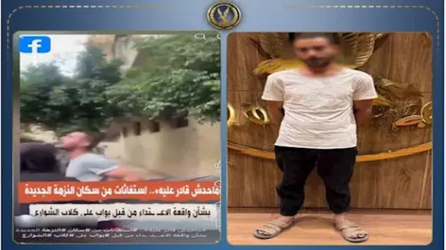 قصة فيديو النزهة المتداول.. حارس عقار يبرر ملاحقة الكلاب بالانتقام