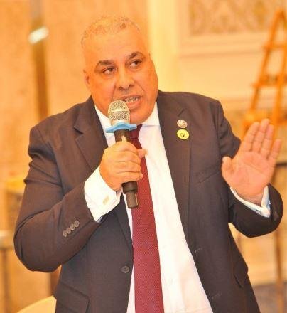 النائب محمد أبو النصر: ثورة 30...