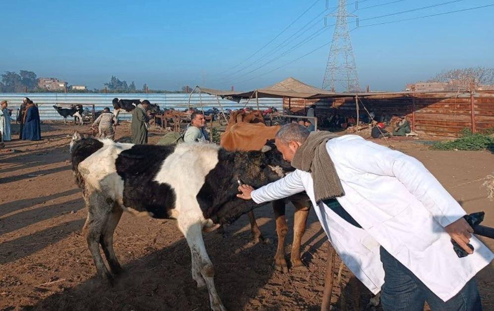 الزراعة: تحصين أكثر من مليوني...