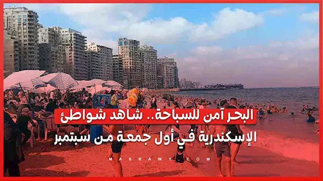 البحر آمن للسباحة.. شاهد شواطئ الإسكندرية في أول جمعة من سبتمبر