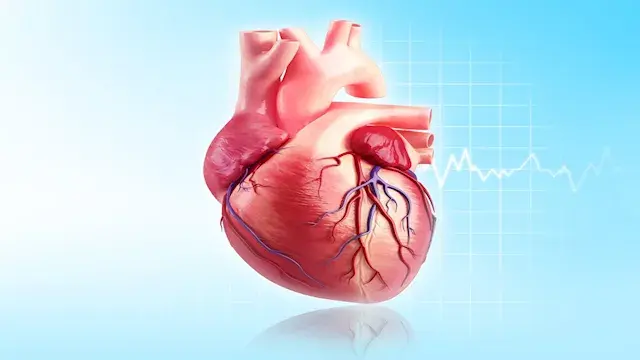 أمراض القلب.. 5 علامات مبكرة لا يجب تجاهلها