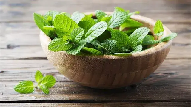 فوائد تناول مشروب النعناع بعد...
