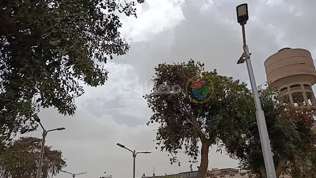 أجواء صيفية بنسمات شتوية.. طقس معتدل في المنيا اليوم الأربعاء