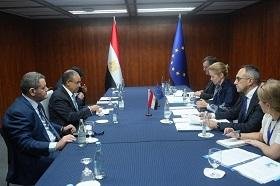 وزير الخارجية: مصر تضطلع بدور...