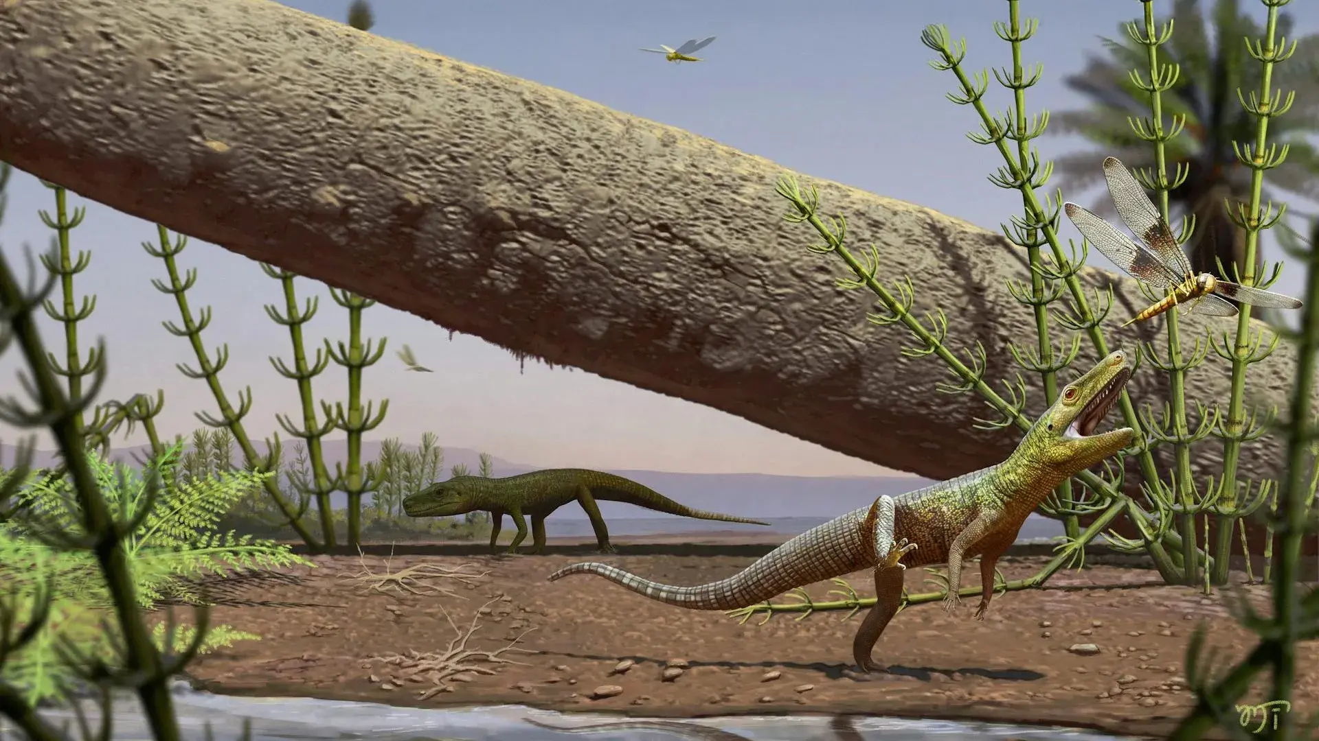 240-million-year-old reptile f...