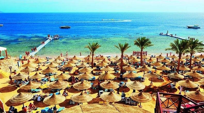 بنسب إشغالات تتجاوز 80%.. انتع...