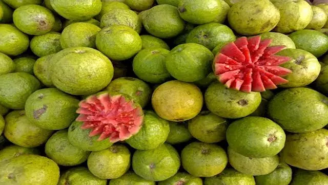 الجوافة الحمراء.. فوائد صحية م...