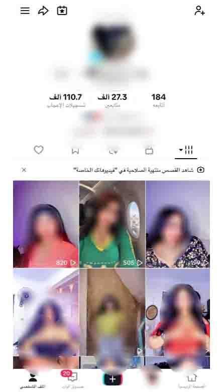 ضبط صانعة محتوى بتهمة نشر فيدي...