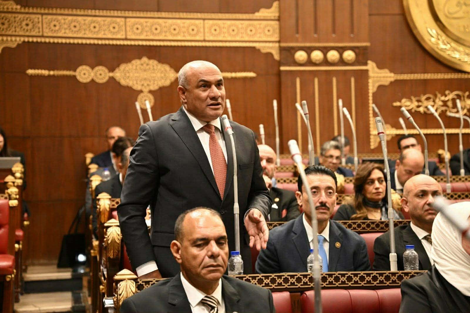 النائب شعبان رأفت: بيان 3 يولي...