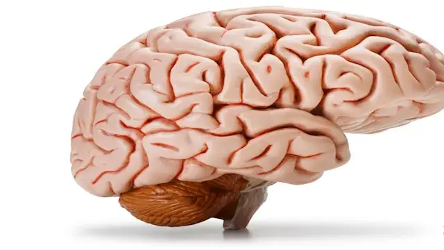 عادة يومية تدمر التركيز دون أن...