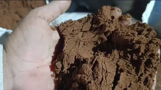 ضبط 630 كجم من بن مُصنّع من نوى البلح داخل سيارة بالفيوم (صور)