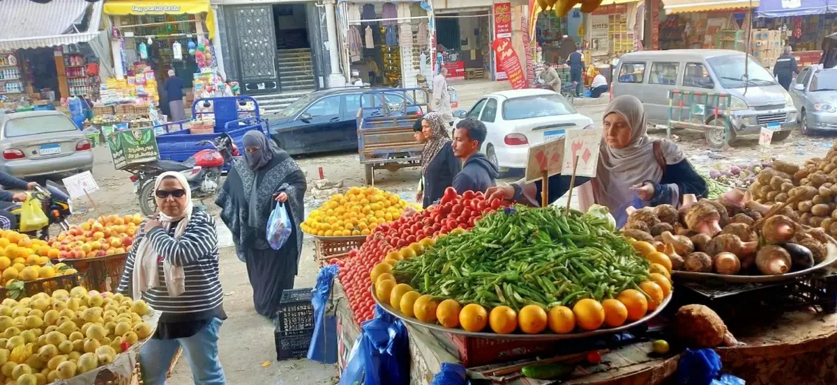 الطماطم بـ15 جنيهًا.. أسعار ال...