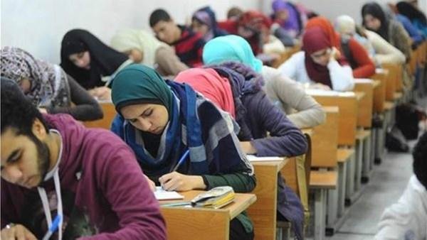 براءة «أوائل فاقوس» من شائعات السوشيال ميديا.. الحكومة توضح
