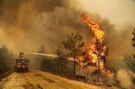 جهود لإطفاء حرائق غابات بجبل ل...