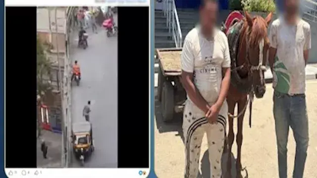 كشف ملابسات فيديو عربة كارو تس...