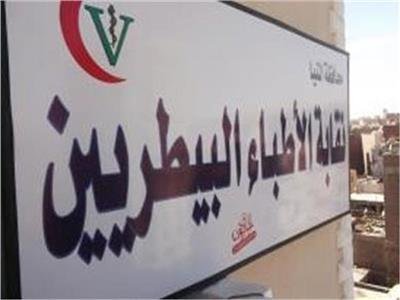 "البيطريين" تطلق نشرة للوظائف.. 2618 طبيبا و27 جهة عمل سجلوا على المنصة
