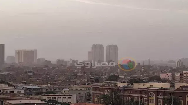 نشرة التوك شو| خطة قومية للقضاء على السعار وتحذيرات من الأرصاد حول طقس الغد