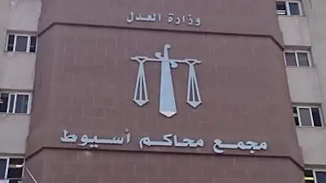"قتلا أخاهما ورشقا طفلاً بالرصاص".. القصة الكاملة لجريمة الميراث التي هزت "درنكة أسيوط"