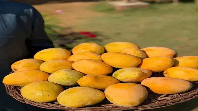 ما أضرار الإفراط في تناول الما...