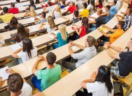 من المدرسة إلى الجامعة.. لماذا يشعر بعض الطلاب بالارتباك في بداية الطريق؟