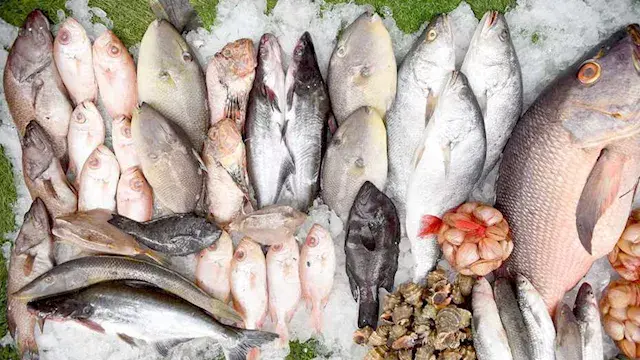 علامات فساد السمك في الأسواق خلال الطقس الحار