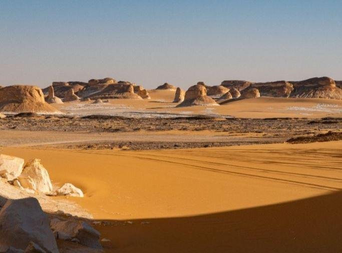 متحدث البترول: الصحراء الغربية...
