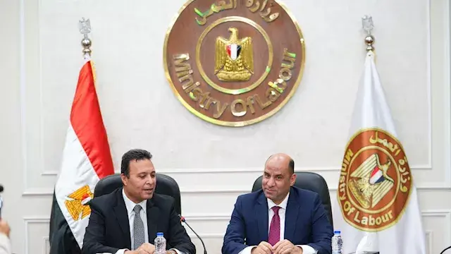 وزير العمل يبحث مع الإحصاء تحد...