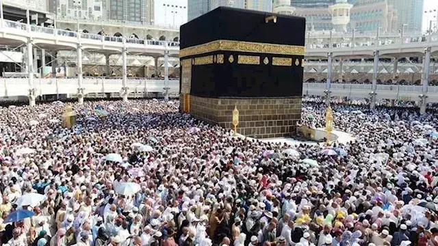 "التضامن": انطلاق أولى أفواج حجاج الجمعيات الأهلية.. الجمعة