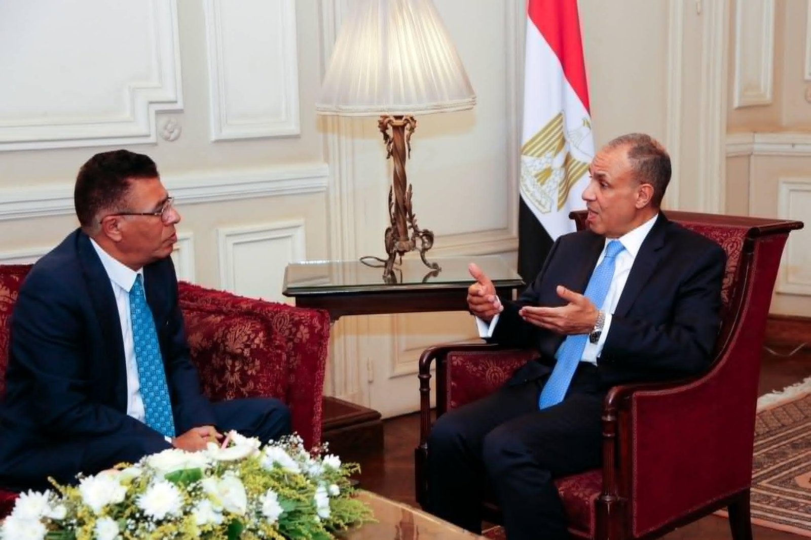 وزير الخارجية بدر عبد العاطى ف...