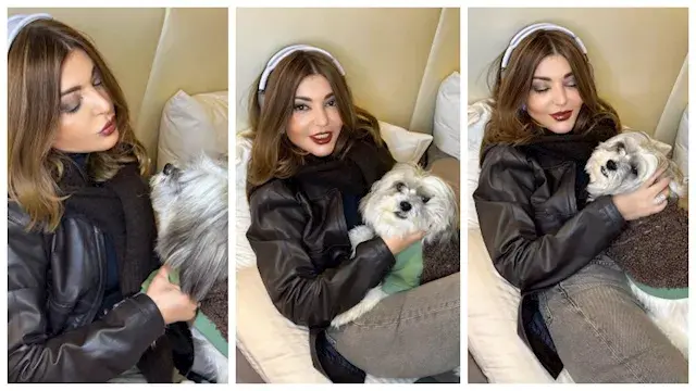 بعد أزمة كلاب الشوارع.. سميرة...