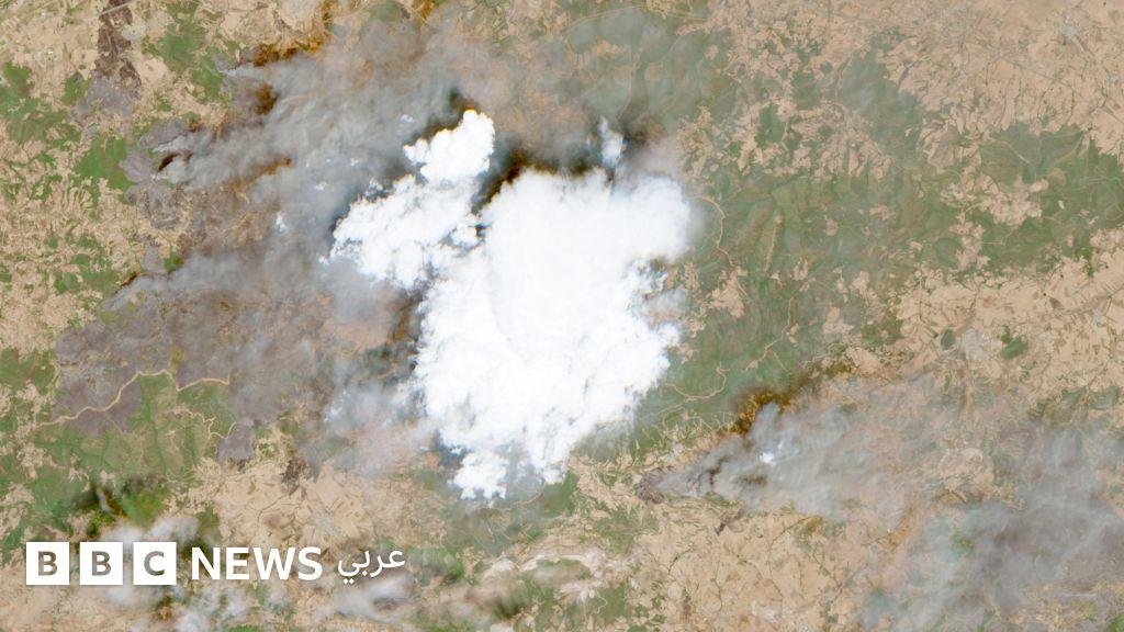 مساعٍ جزائرية مستمرة للسيطرة على الحرائق في البلاد، وتوقيف أربعة متهمين بإضرام الحرائق في الغابات