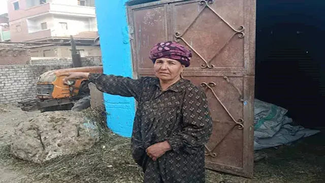 النار أكلت 3 فدادين.. سيدة الشرقية تسامح المتسبب في حريق قمحها: "يمكن ربنا فدانا"
