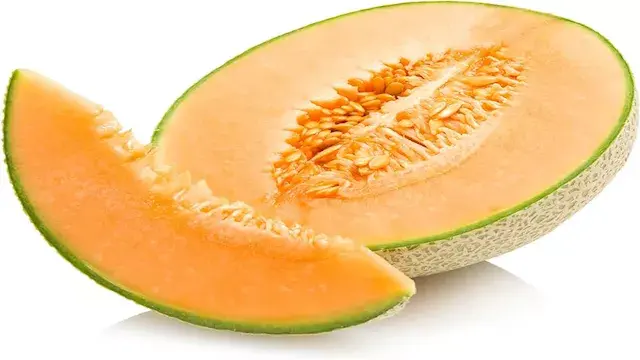 لن تتوقع تأثيره.. كيف يحمي الش...
