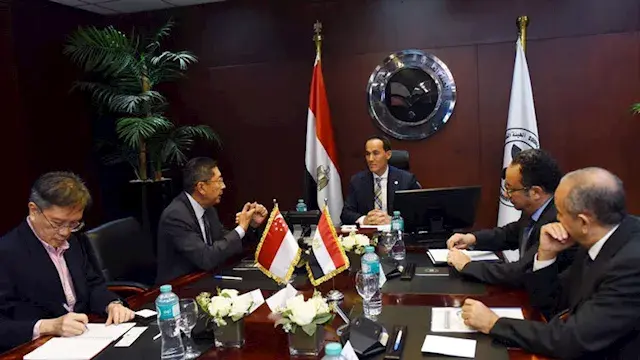 استثمارات سنغافورة في مصر تصل...