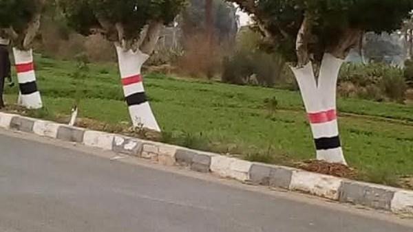 نقيب الزراعيين يكشف حقيقة قطع الأشجار وتصدير الفحم