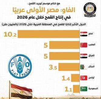 مجلس الوزراء: مصر الأولى عربيا...