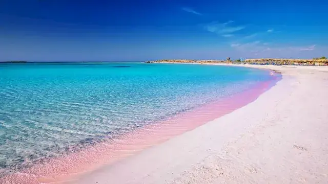 تخطف الأنظار.. أجمل وأشهر 7 شو...