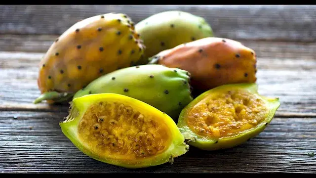 فوائد تناول التين الشوكي في فص...