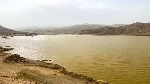 مشروعات المياه تُحيي سيناء.. 5...