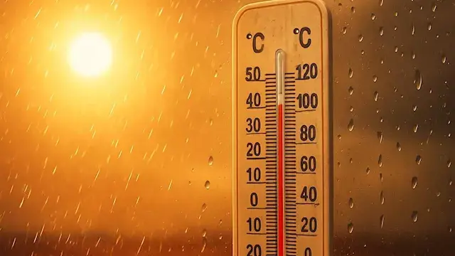 أجواء شديدة الحرارة وشبورة مائ...