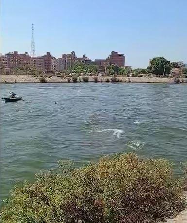 بعد مصرع طفلة بالقناطر الخيرية...