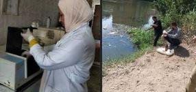 التنمية المحلية والبيئة: 77 حم...